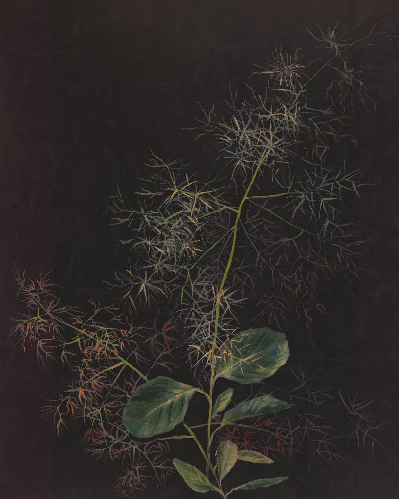 Botanical Elegance