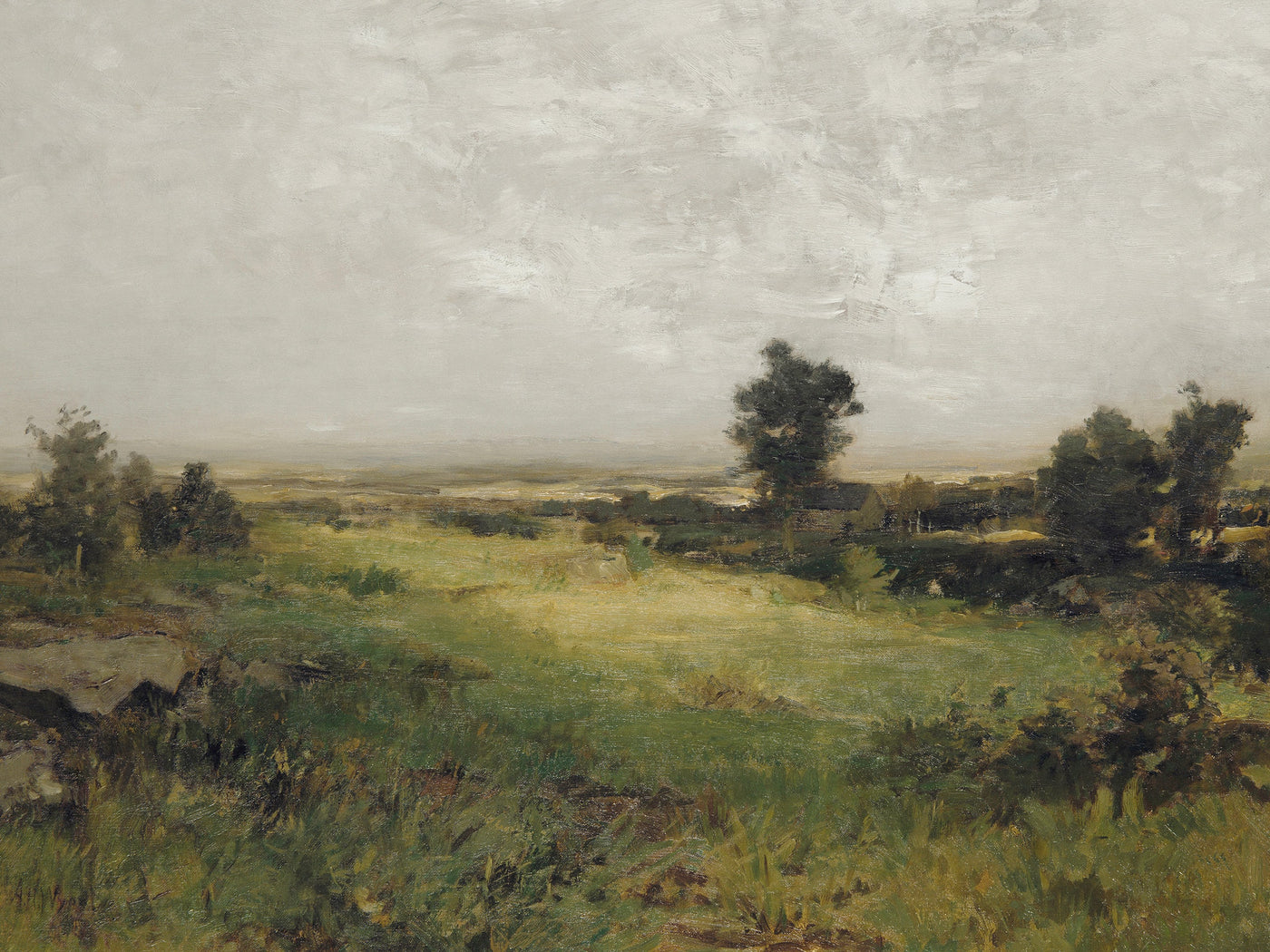 Country Landscape