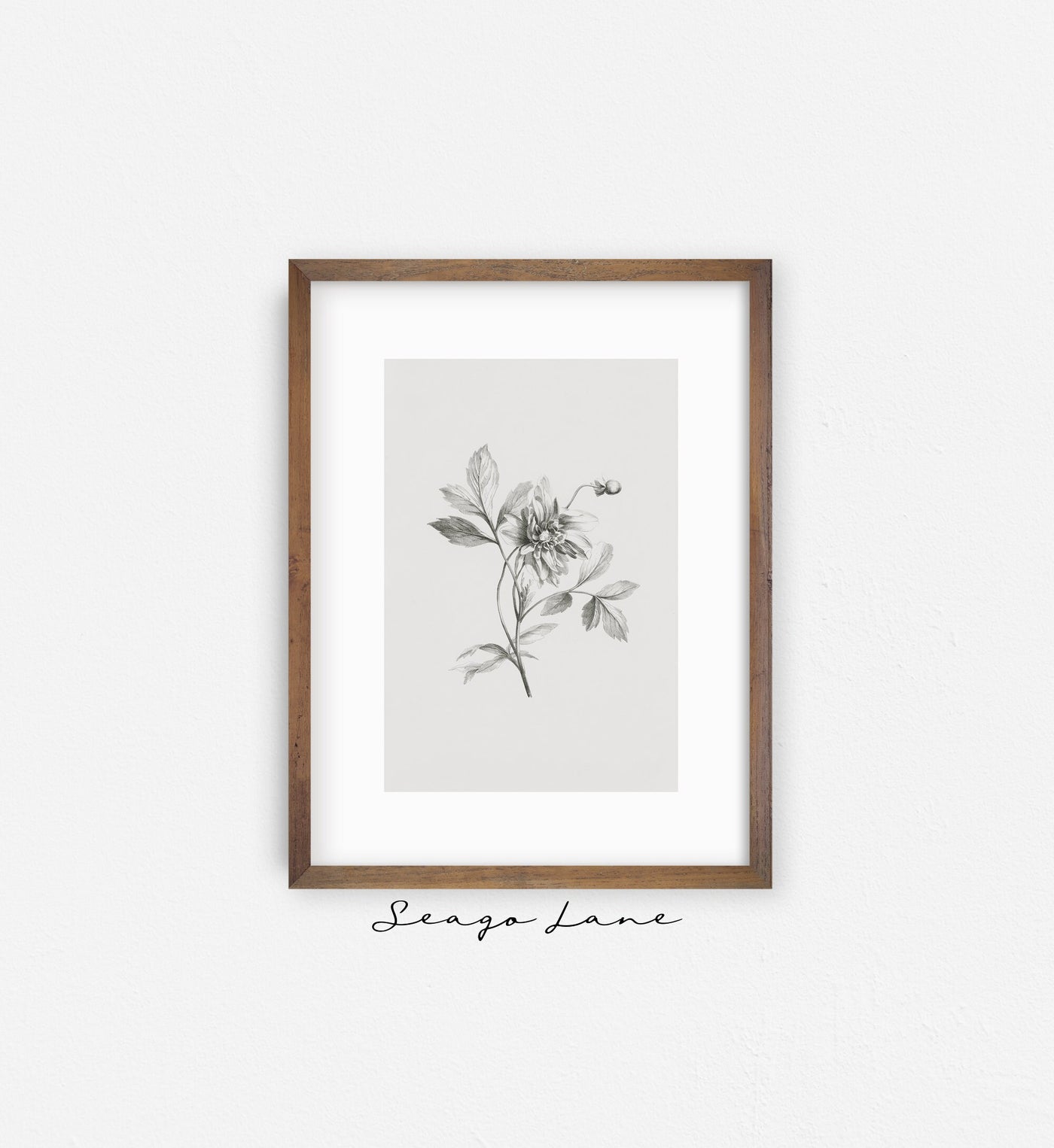 Flower Botanical Sketch