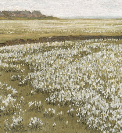 Flowering Fields