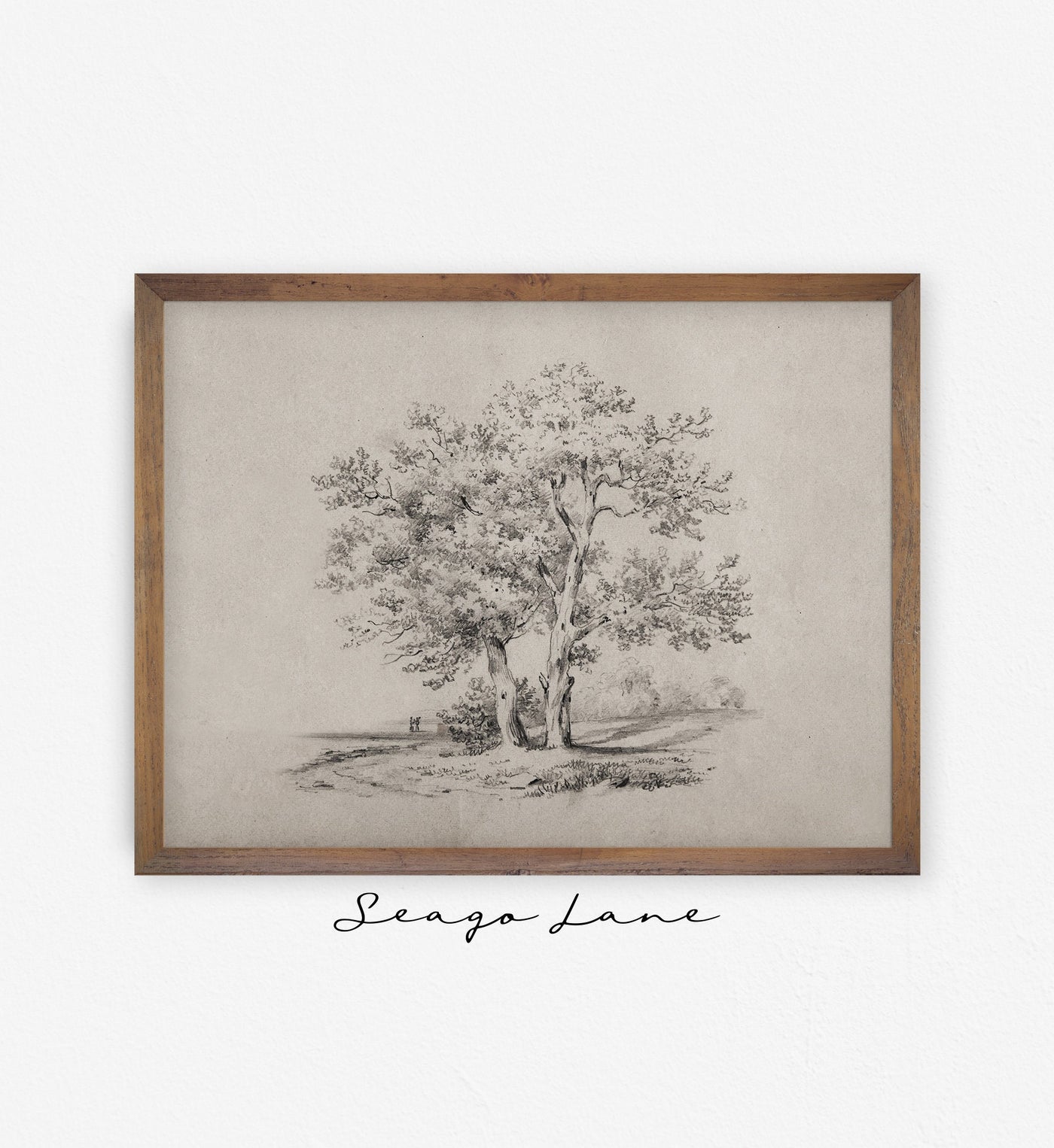 Vintage Tree Sketch II